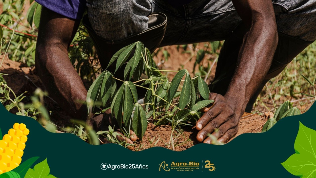 Agrobio_andina's tweet card. Ah, la biotecnología agrícola..