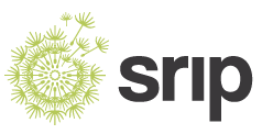 TheSRIP's tweet card. SRIP Mentorship Programme Scholarship.