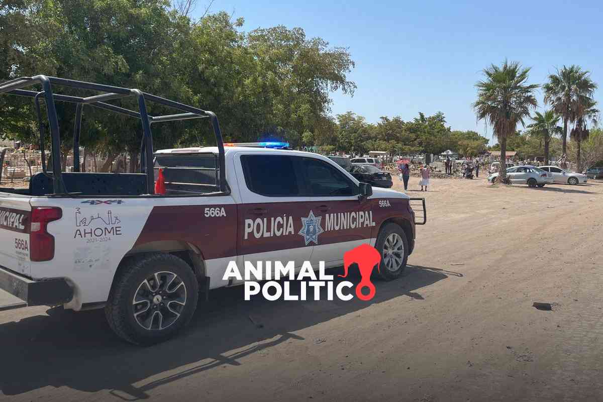 Pajaropolitico's tweet card. Juez separa del cargo a regidoras de Ahome ligadas a presunta renta de patrullas ilegal en el...