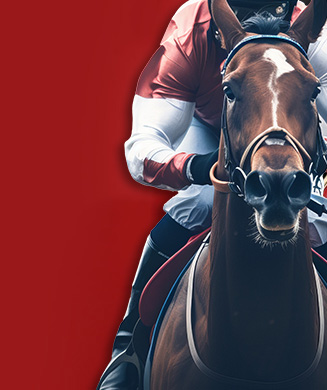 WizardPicks's tweet card. Horse racing products Player Development & FAN EDUCATION Horse racing products Walk With Me wins her 2nd race in a row Player …