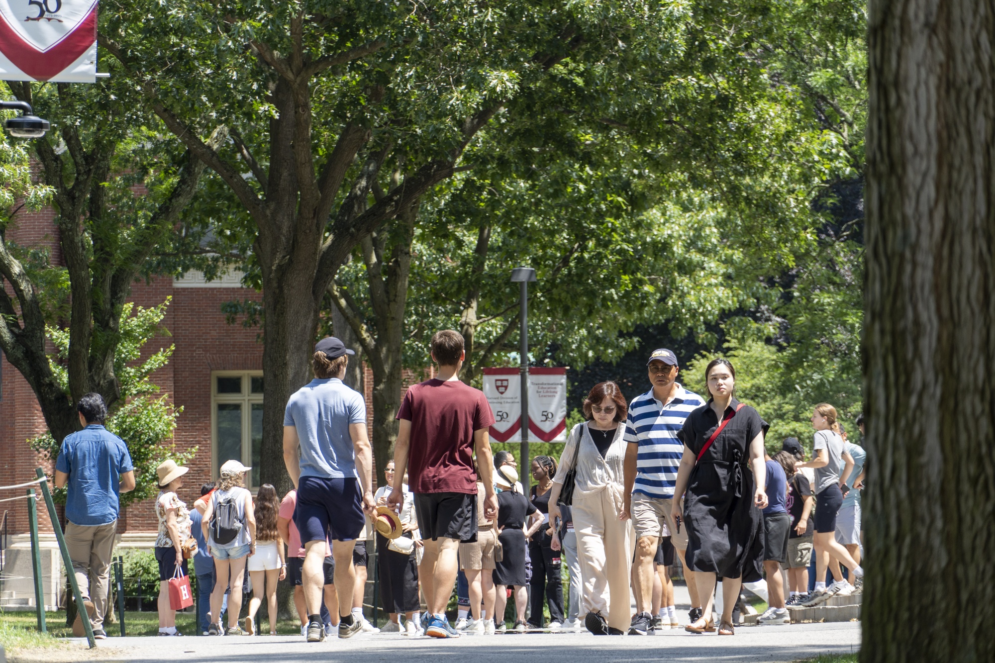 tillyrobin's tweet card. Trump Admin Urges Reconsideration of Harvard’s Accreditation Status | News | The Harvard Crimson