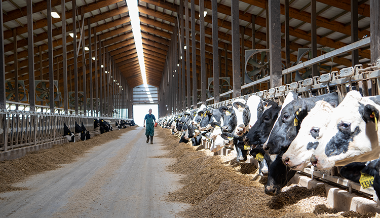 FIL_IDF's tweet card. The American Dairy Science Association (ADSA) recently held its annual meeting in Louisville, Ky., with speakers covering topics ranging from dairy cow to dairy farm to dairy consumer.