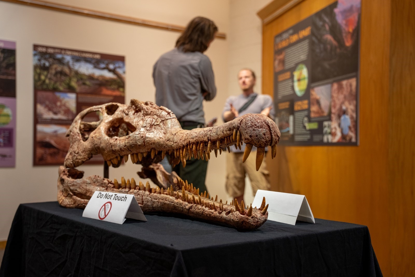 UArkResearch's tweet card. Zion National Park debuts a new exhibit exploring the End Triassic Extinction, based on research conducted within the park’s rock layers.