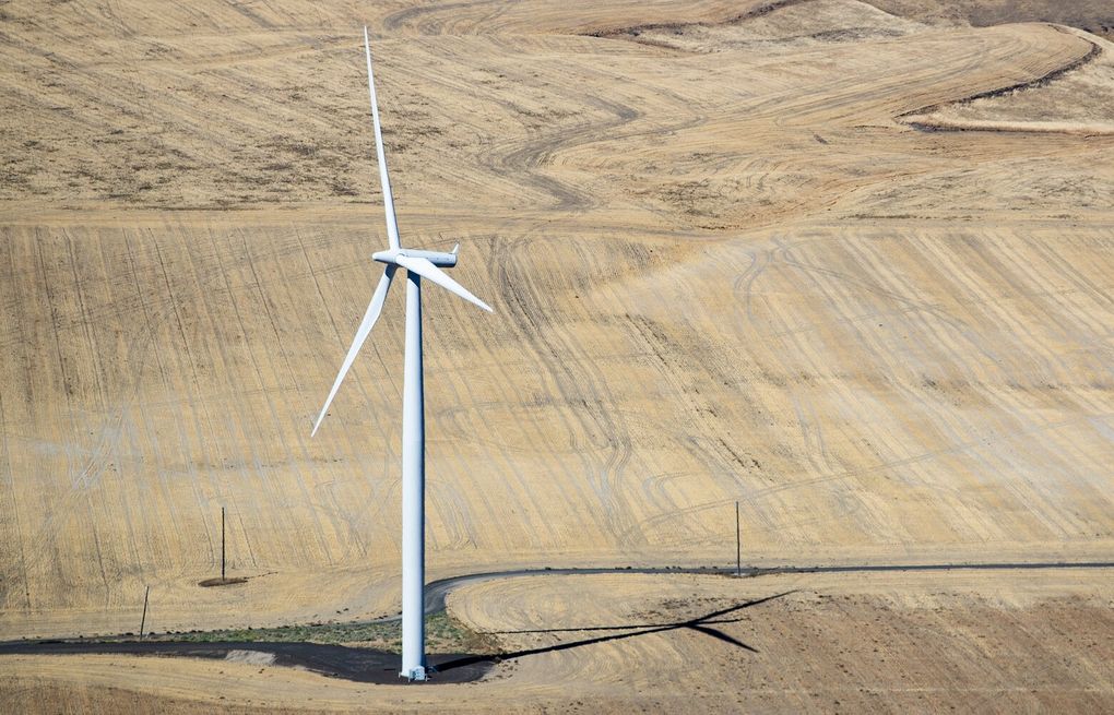 rodmickleburgh's tweet card. The Republican lawmaker's lament about how she got played by President Donald Trump is no help for the scrambling wind and solar industries. But it is a phrase for the age.
