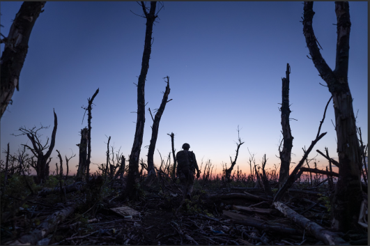 Dogwoof's tweet card. This jaw-dropping doc is an All Quiet On the Western Front for the Ukraine war
