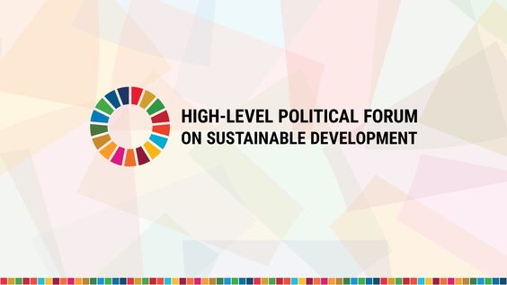 UNECOSOC's tweet card. Voluntary national reviews (VNRs) -Panel 4: India, Lesotho Adoption of the Ministerial Declaration Conclusion of the HLPF The 2030 Agenda for Sustainable Development encourages member states to...