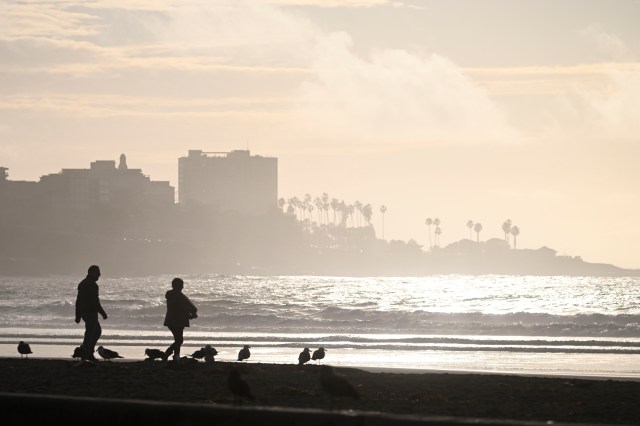 ChiChiGreenblat's tweet card. Visitors to a popular San Diego beach have recently discovered unique, shimmering purple shells scattered along the sand. Scientists at UC San Diego’s Scripps Institution of Oceanography identified…