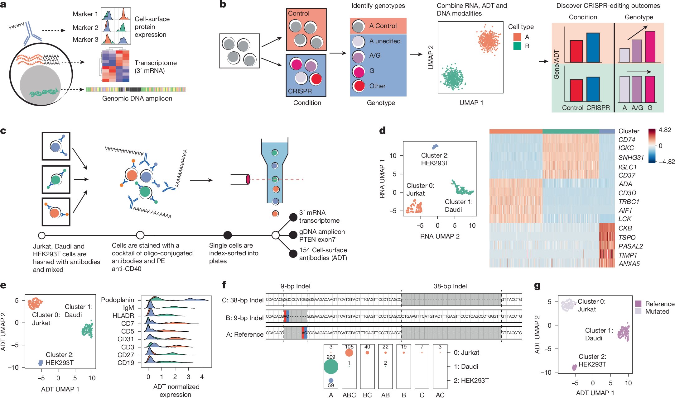 iPatho1's tweet card. Nature - A plate-based assay called CRAFTseq has been developed that uses ‘multi-omic’ single-cell RNA sequencing and direct genotyping of CRISPR edits to test the functional effects of...