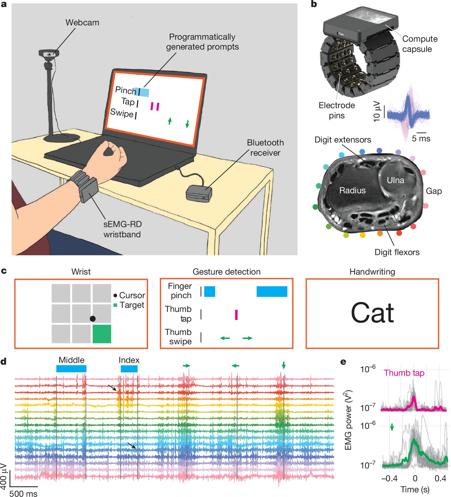 TRReardon's tweet card. Nature - A high-bandwidth neuromotor interface offers performant out-of-the-box generalization across people.