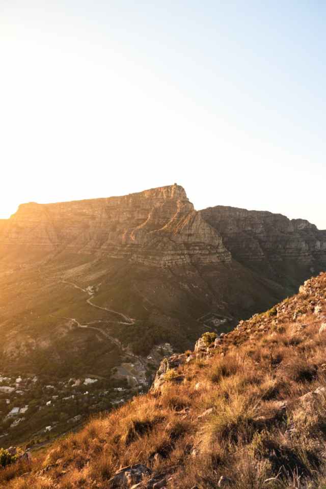 CAMO_Net1's tweet card. Last month, a group of over 70 infectious disease and public health experts signed an open letter urging South Africa’s Department of Health and Minister Aaron Motsoaledi to reintroduce a national …