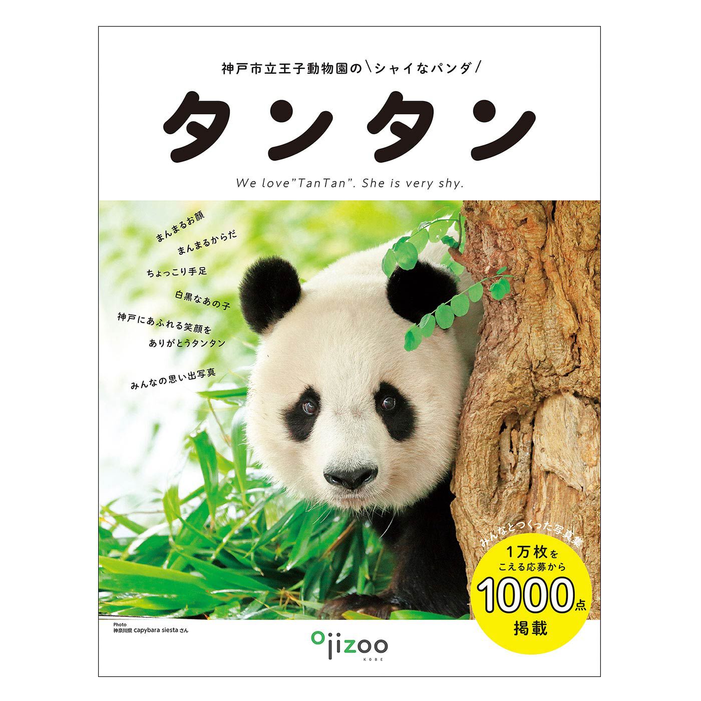 Capybara_siesta's tweet card. シャイなパンダ　タンタン 写真集｜書籍の通販ならYOU+MORE![ユーモア]｜フェリシモ【公式通販】