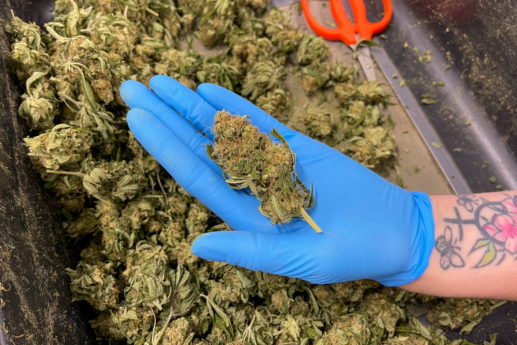 J_Hancock's tweet card. Cities and counties are not allowed to stack sales taxes on marijuana products, the Missouri Supreme Court ruled on Tuesday. 