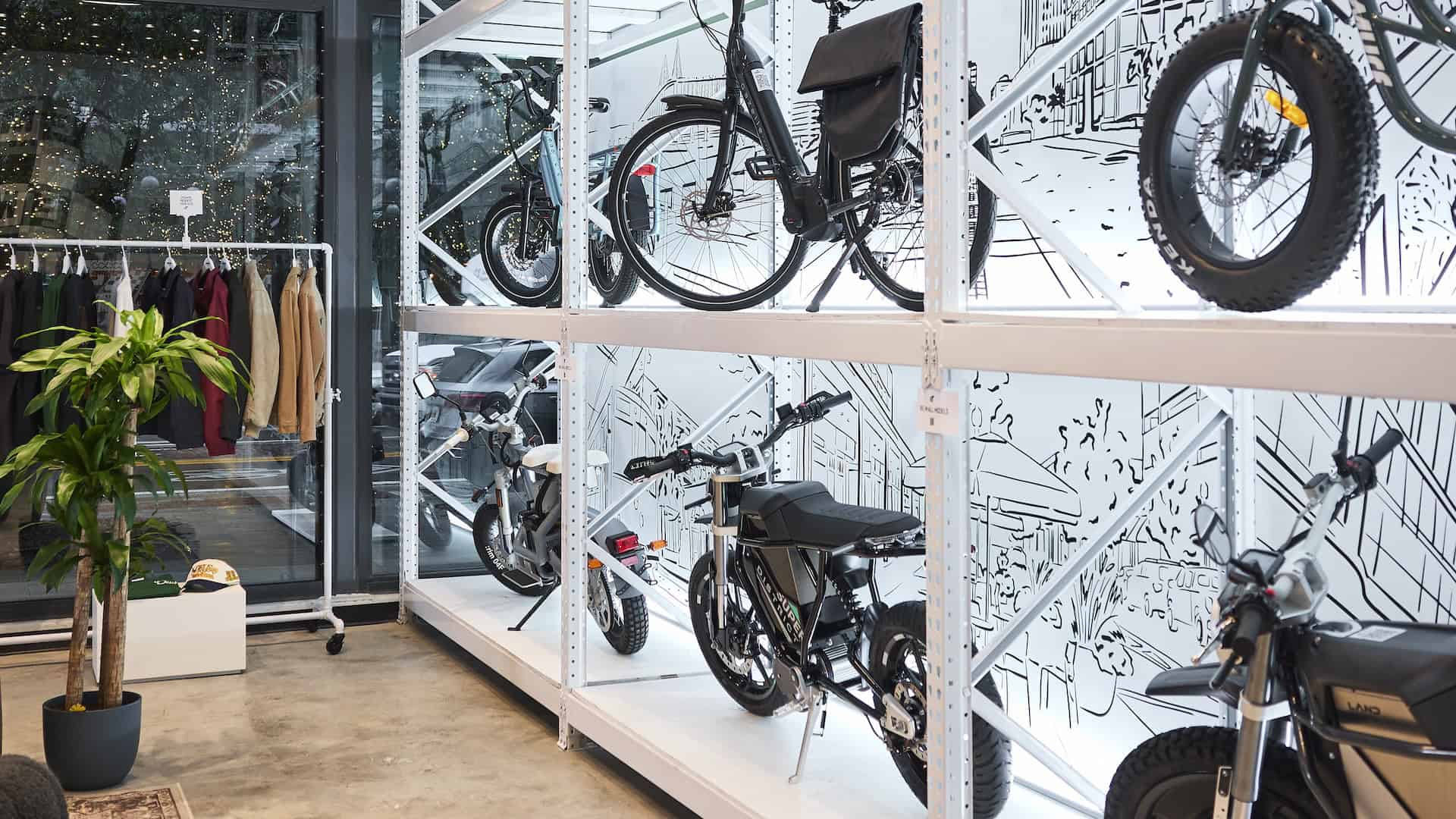 WalkBikeTampa's tweet card. For Michael Joyce, owner of the electric bike boutique EMOTO in Water Street, biking isn’t just a hobby; it’s a lens through which he views city life,