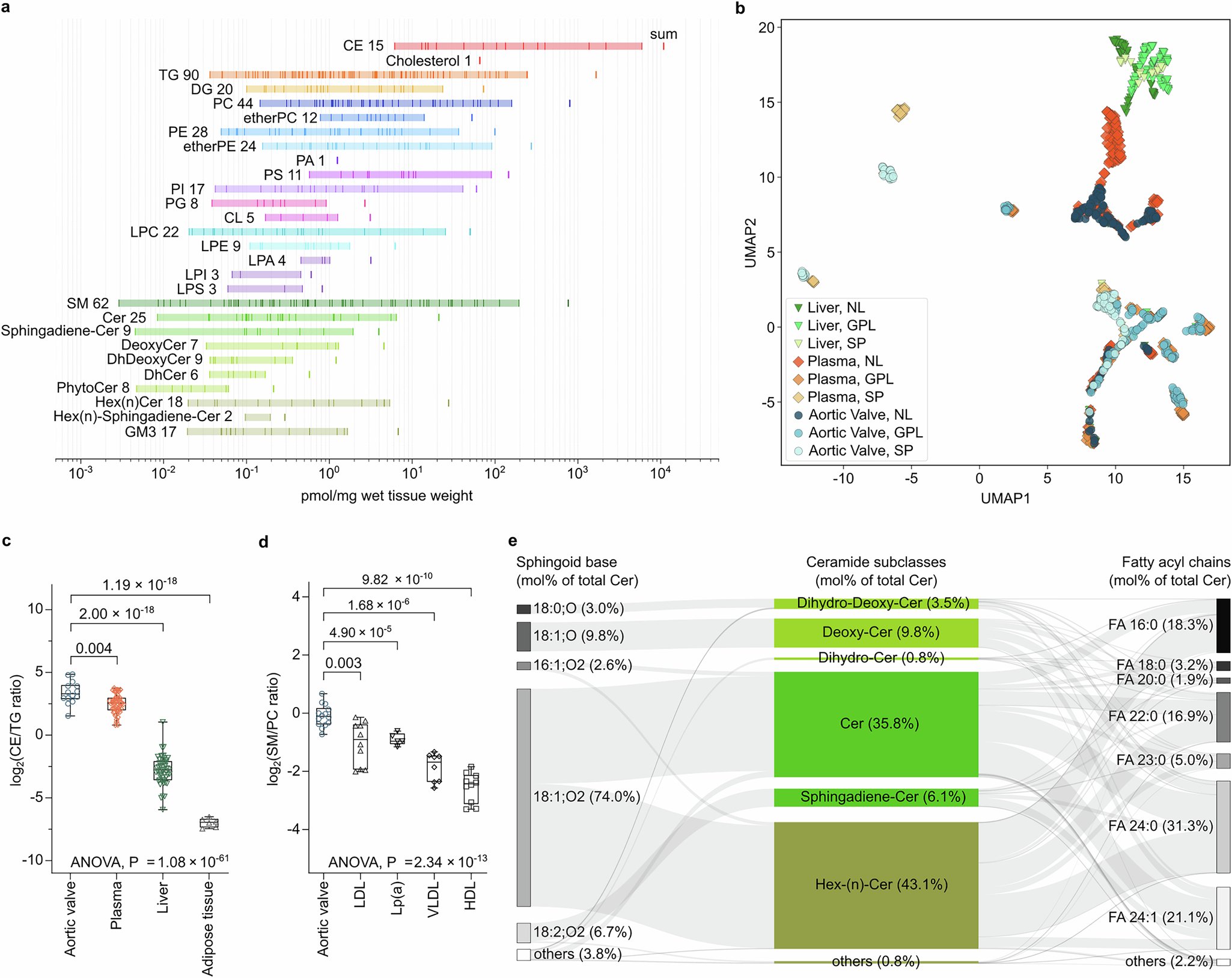 FedorovaLab's tweet card. Nature Communications - Fibro-calcific aortic valve disease is closely interlinked with dyslipidemia. Here, the authors used quantitative lipidomics to profile the metabolic trajectories in human...