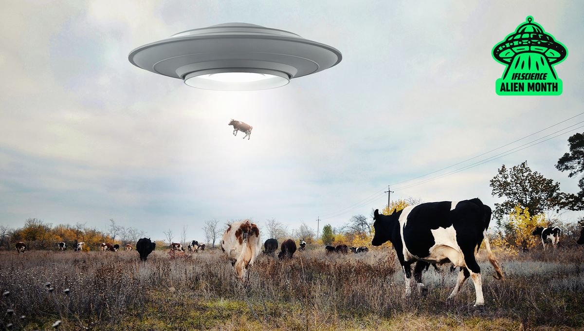 PlantRobinson's tweet card. Ufology has always been a fringe field divided between those curious about UFOs and those who believe in cover-ups, but now the beliefs of the former have made their way into wider political views.