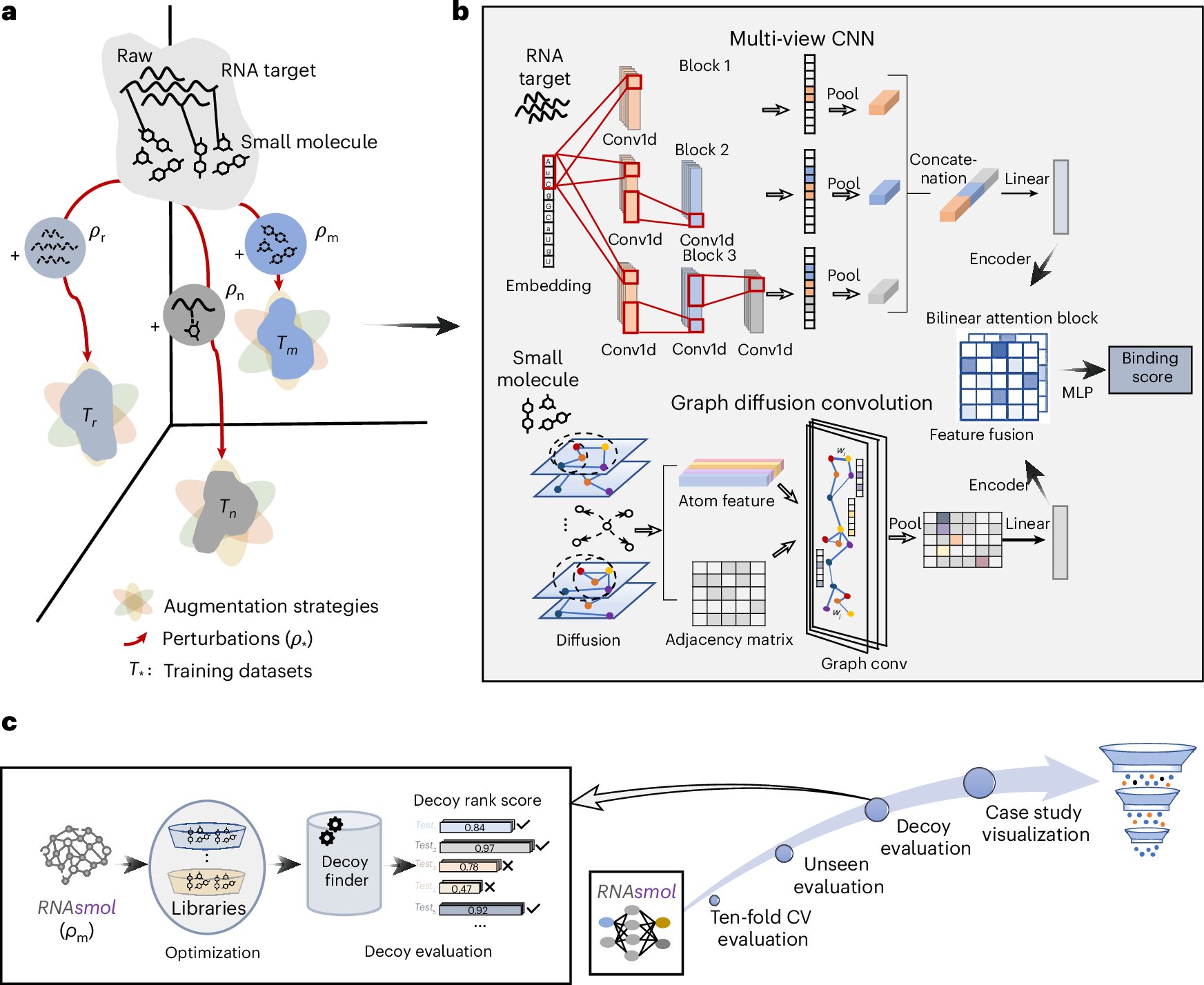 NatComputSci's tweet card. Nature Computational Science - RNAsmol is a sequence-based deep learning framework for predicting RNA–small molecule interactions, integrating perturbation and augmentation to achieve robust...