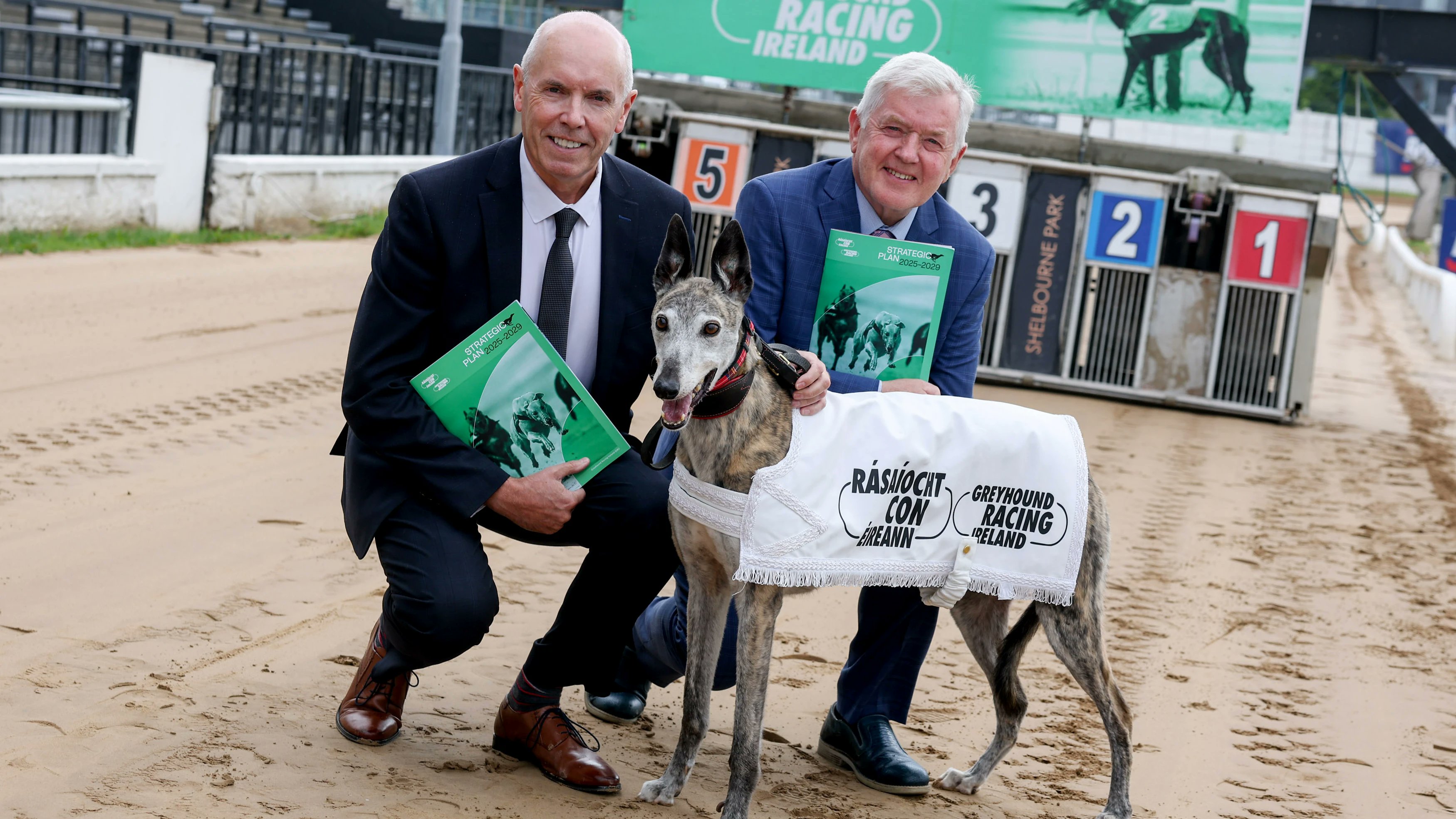 GreyhoundNewsUK's tweet card. Rásaíocht Con Éireann (RCÉ), the statutory body responsible for the regulation, development and promotion of greyhound racing in Ireland, has today (Wednesday, 23 July 2025) unveiled its Strategic...