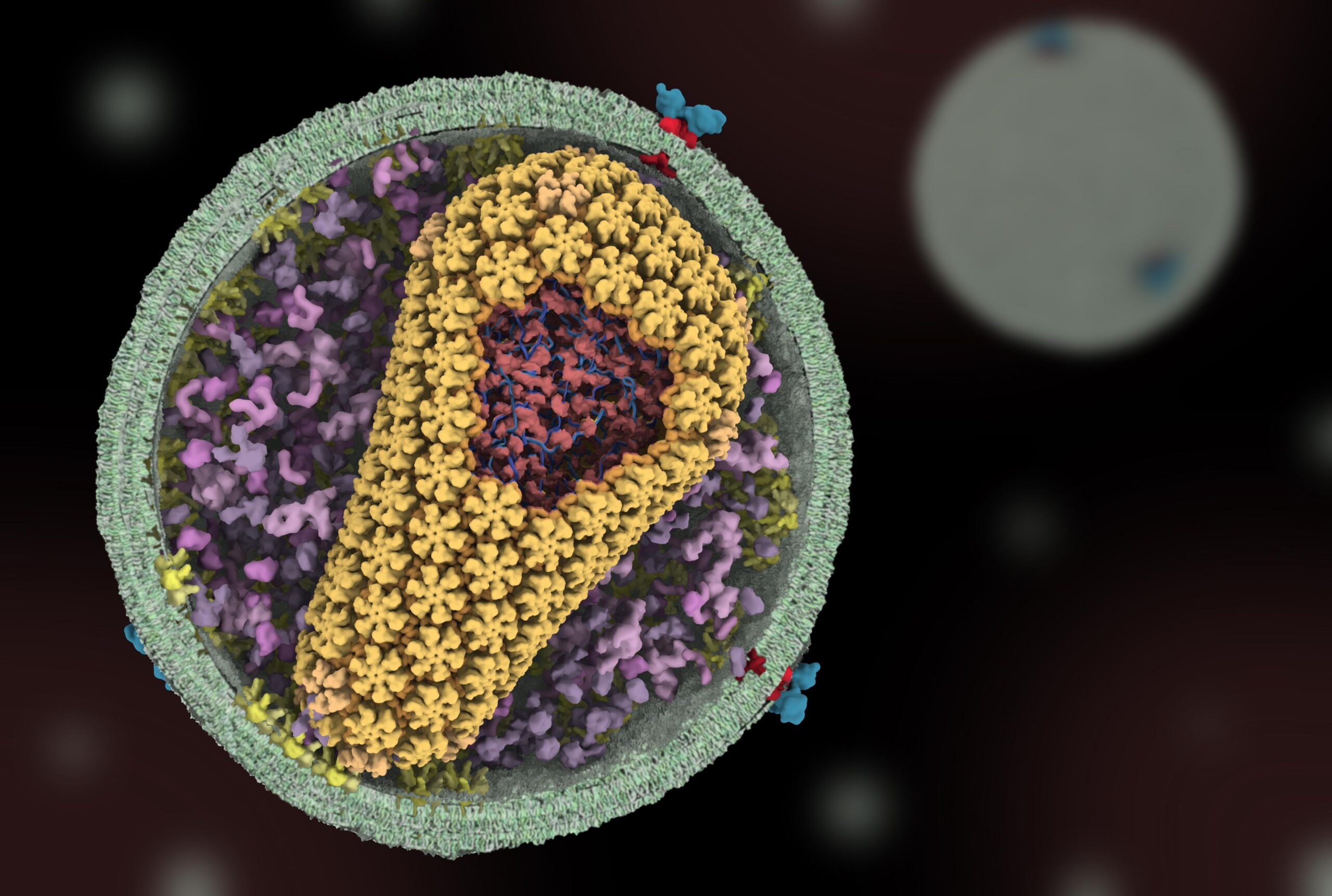 UofUResearch's tweet card. Federally funded basic research at the University of Utah laid the groundwork for a new HIV-prevention drug now approved for clinical use—demonstrating how curiosity-driven science...