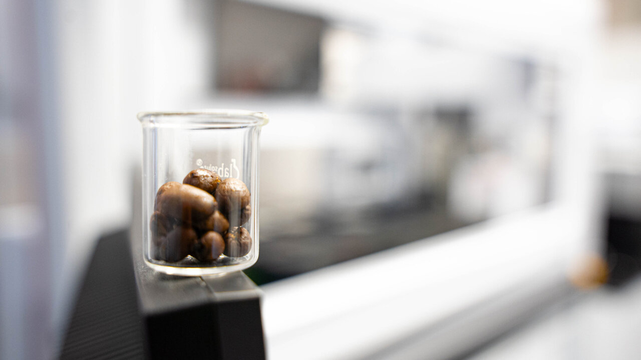 MicrobesInfo's tweet card. Ingredients of our daily diet—including caffeine—can influence the resistance of bacteria to antibiotics. This has been shown in a new study by a team of researchers at the Universities of Tübingen...