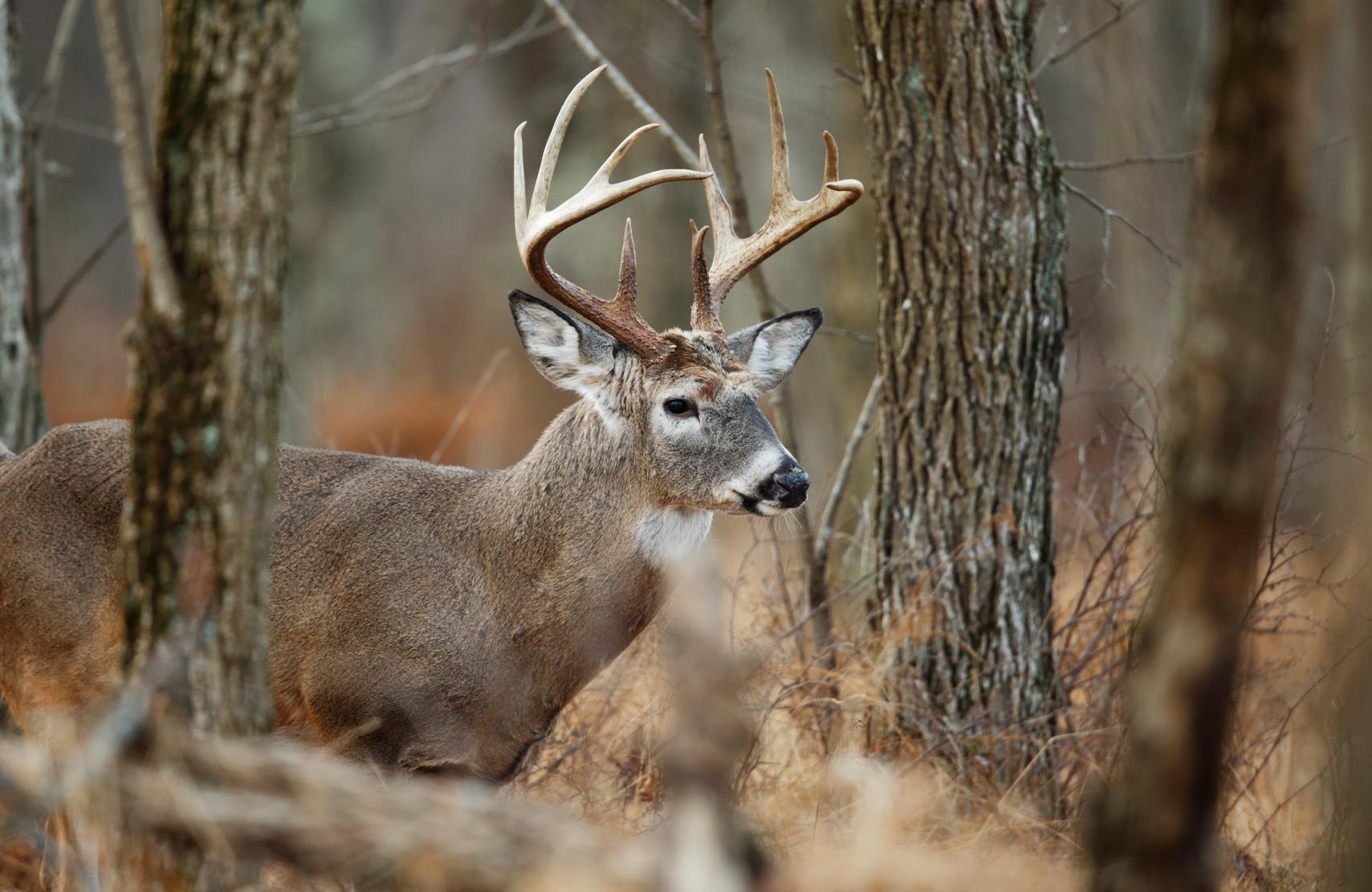 manuel_bonder's tweet card. The governor of Pennsylvania is signing a bill to legalize Sunday hunting in one of the nation's largest deer hunting states.
