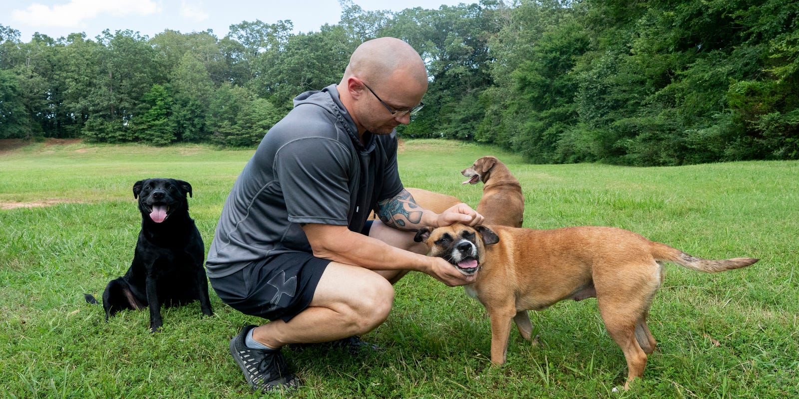 GoMemphis's tweet card. A Memphis dog park led the list of the nation’s preferred parks for pooches in the 2025 edition of USA TODAY 10BEST Readers’ Choice Awards.