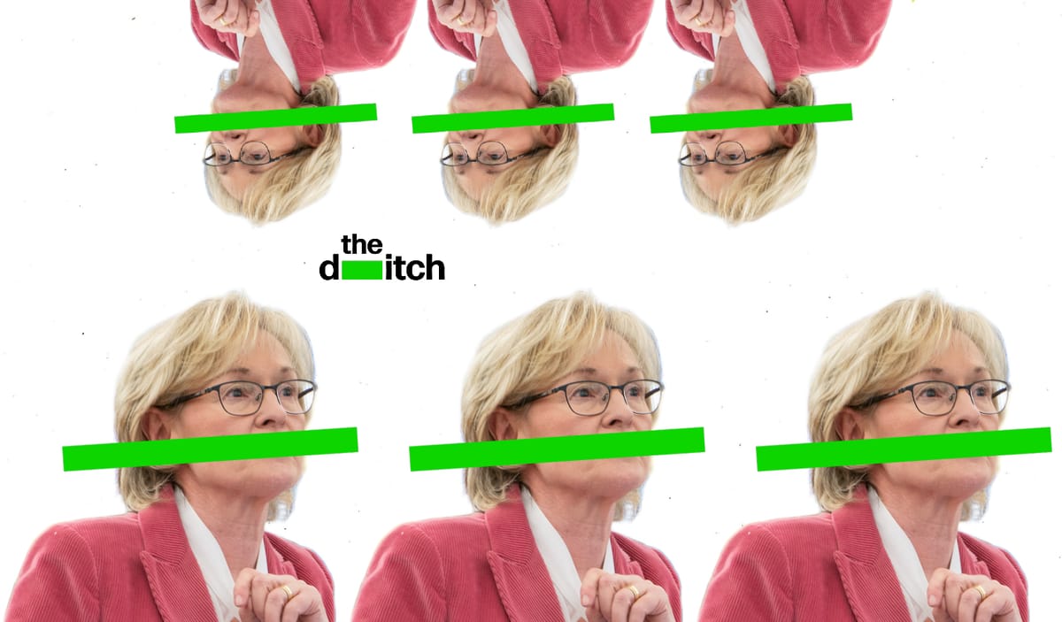 wereontheditch's tweet card. Her rental income from these two Meath investment properties is additional to the €800,000 she claimed in EU expenses.