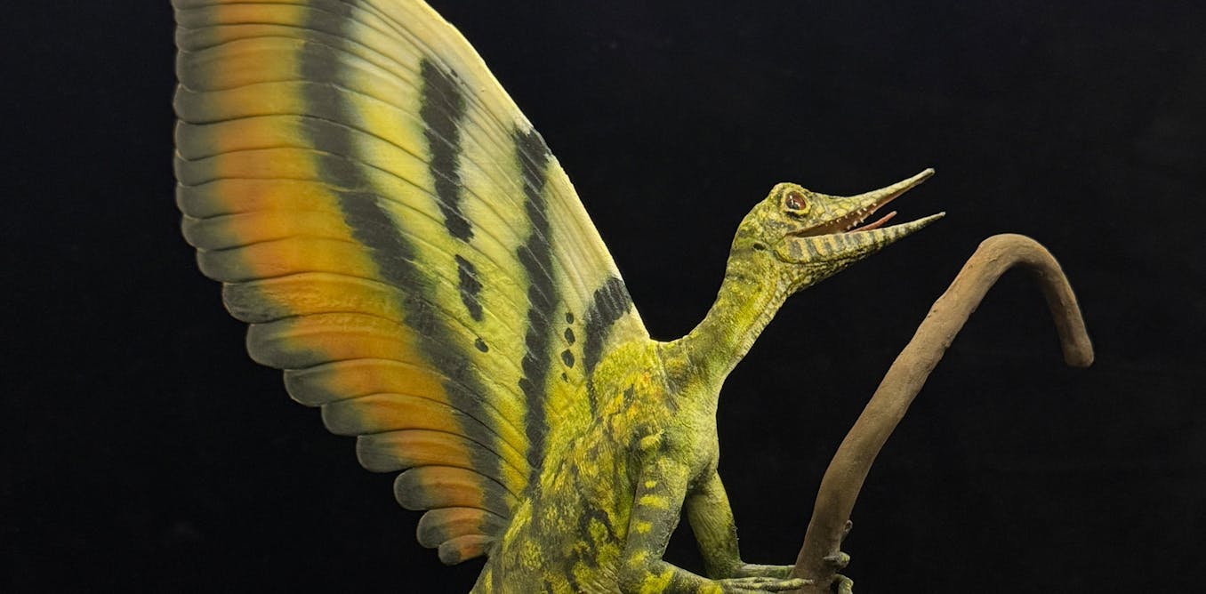 MariaMcN_palaeo's tweet card. The fossil creature has outgrowths on its back that are neither hair nor feathers.