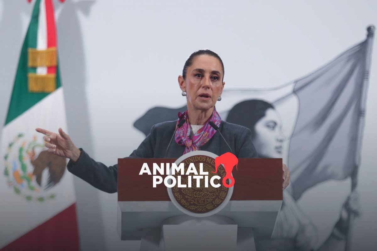 Pajaropolitico's tweet card. Orden de detención contra Bermúdez Requena está vigente, dice Sheinbaum; “investigaciones seguirán...