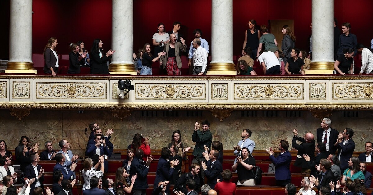 LEXPRESS's tweet card. Loi Duplomb : "L’instrumentalisation des écologistes radicaux coûte cher à la France" ➡️ https://...