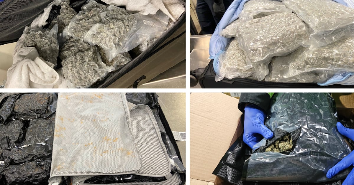 CTVCalgary's tweet card. More than $1.2 million-worth of cannabis has been seized at the Calgary International Airport over the last year, according to Canadian Boarder Services (CBSA).