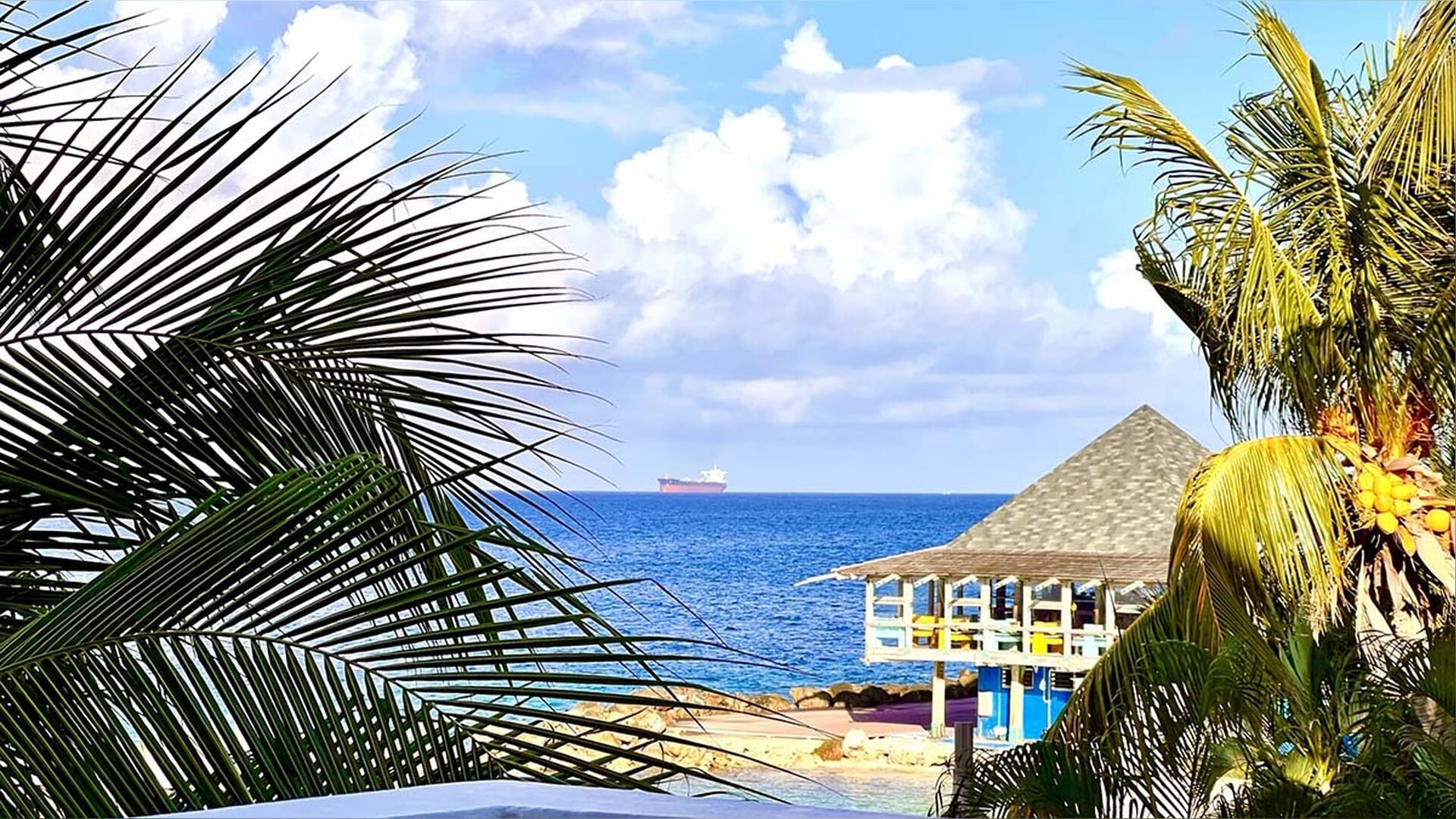 greta's tweet card. WILLEMSTAD – Zeker negentig olietankers varen met de vlag van Aruba, Curaçao of Sint Maarten, terwijl deze eilanden geen eigen scheepsregister hebben. Het gaat om valse vlaggen die worden gebruikt...