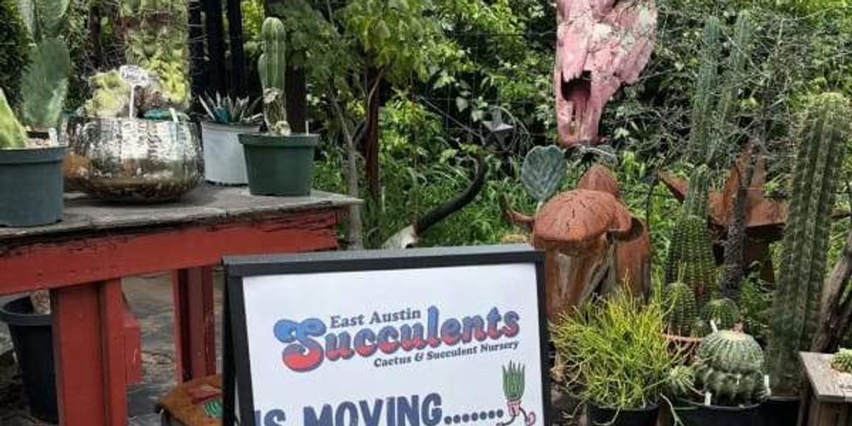 CultureMapATX's tweet card. East Austin Succulents, a plant store with long, dazzling rows of cacti and succulents, announced July 22 on social media that it'll be moving to accommodate new housing. Tillery Street Plant...