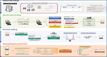RNASeqBlog's tweet card. ENEO - efficient and effective identification of cancer neoantigens from tumor only RNA-seq