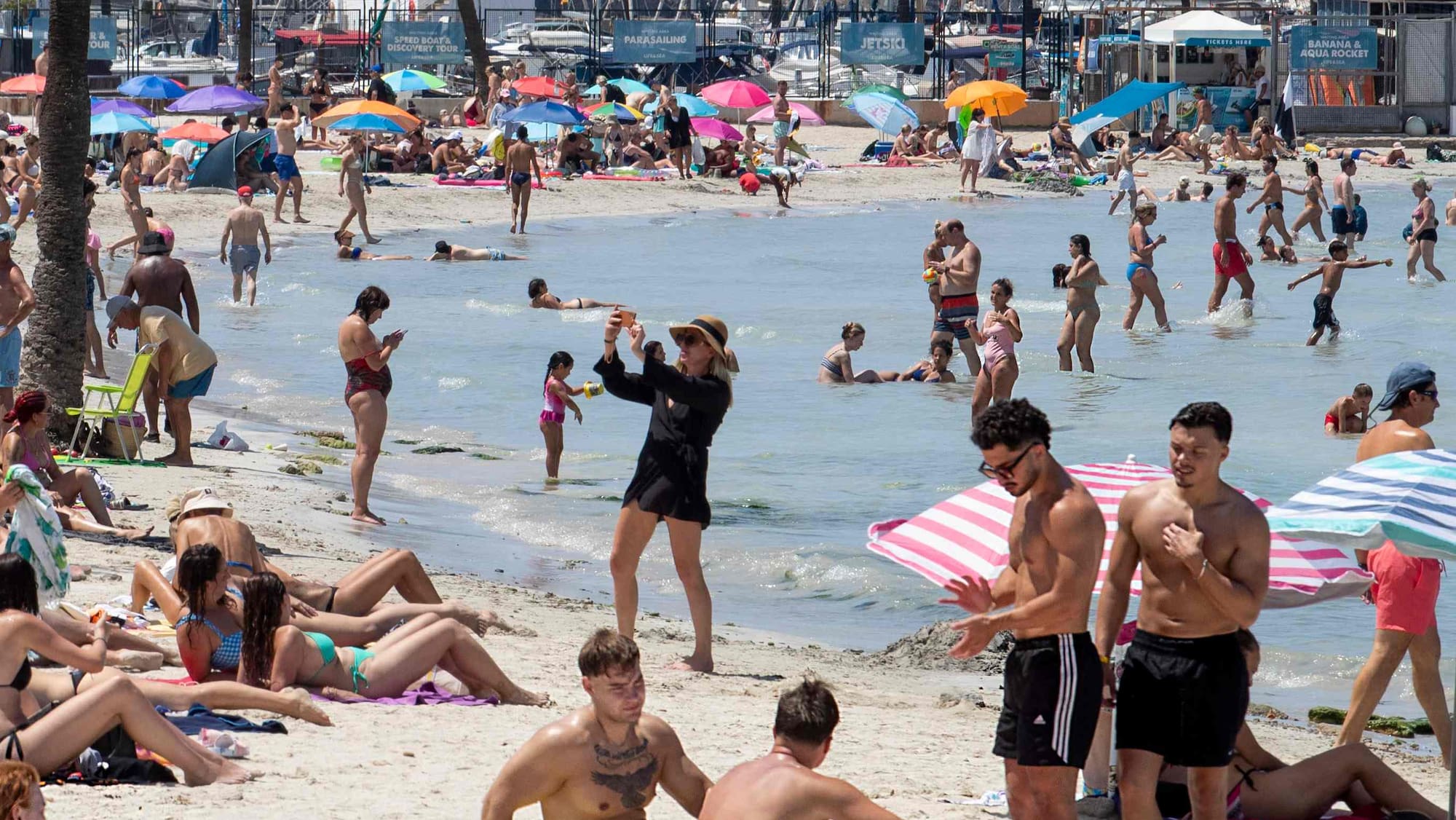 Blickch's tweet card. Nach der Beiss-Attacke auf Mallorca wird untersucht, was da genau eine Touristin am Bein verletzt hat. Damit es nicht so weit kommt, kann man gewisse Vorkehrungen treffen, um das Risiko zu minimieren.