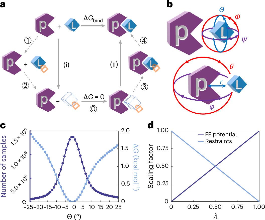 NatComputSci's tweet card. Nature Computational Science - A thermodynamic cycle is proposed that limits protein–ligand relative motion and boosts the efficiency of absolute binding-free-energy calculations four- to...