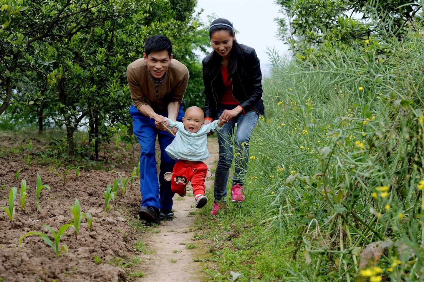 PEDALCam's tweet card. A Global Report on Progress in Parenting and Early Childhood Development