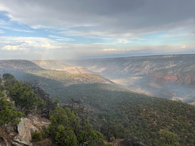 KDVR's tweet card. One of the major wildfires burning on the Western Slope is now nearly completely contained, officials said Wednesday.
