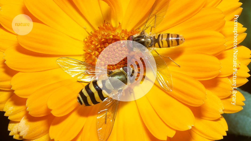 FStagetti's tweet card. Nature - Hear the biggest stories from the world of science | 2 July 2025