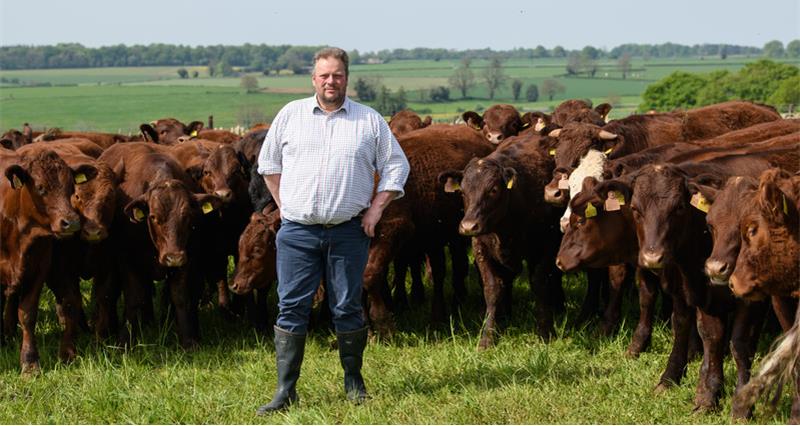 JDRoyle's tweet card. NFU Livestock Board Chair David Barton shares his frustration over a recent shift in retailers sourcing commitments and reiterates the need for investment in British supply.