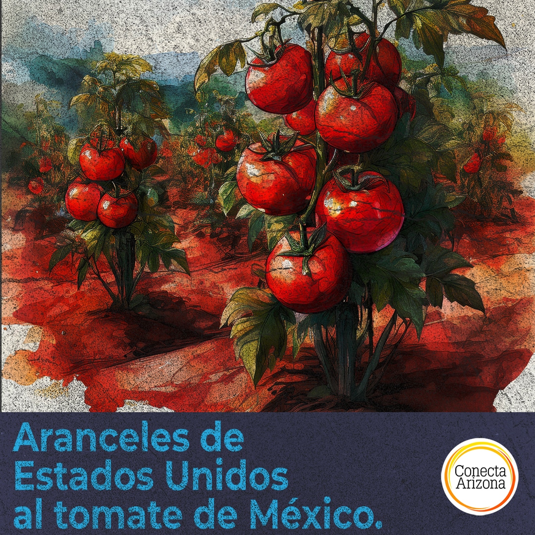 ConectaArizona's tweet card. Arte: Daniel Robles. Tucson, Arizona. – Arizona se prepara para un aumento en los precios del tomate tras la decisión del Departamento de Comercio de