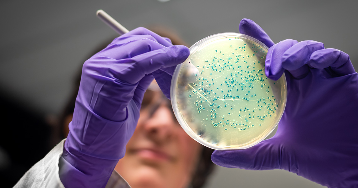 GWSMHS's tweet card. Discover the various careers in Microbiology and learn how you can make a significant impact on public health, medicine, and biotechnology.