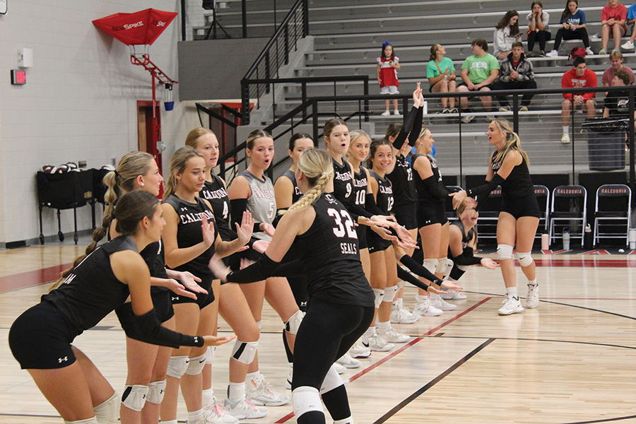 CDispatch's tweet card. The sounds of squeaking shoes, shouts and loud impacts of a ball being swatting into the hardwood in late July at Caledonia High School can only mean one