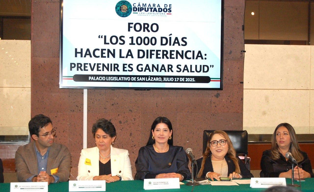 PCebras's tweet card. Urgente invertir para que población materno-infantil tenga servicios dignos de salud y reducir índices de mortalidad: Celia Fonseca.
