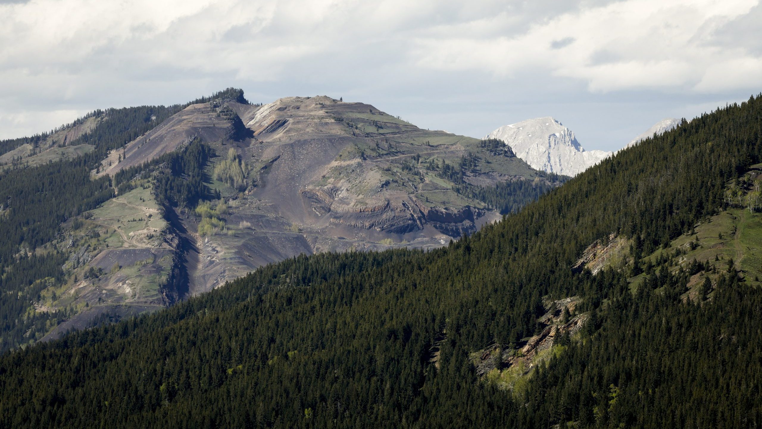 citynewscalgary's tweet card. Alberta is paying out more than $140 million to end one of five lawsuits launched against it over its coal mining policies. A notice published online by Atrum Coal says the company has agreed to end...