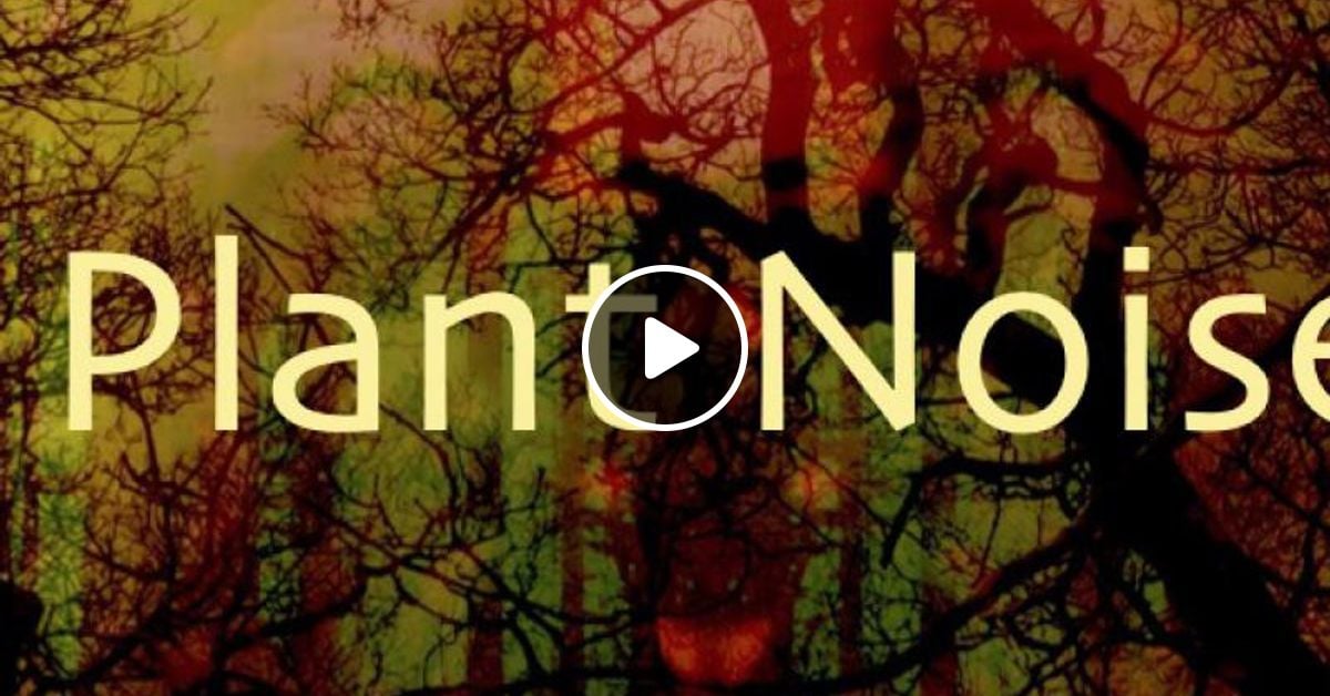 sndassassin's tweet card. The music is primarily from plants and fungi. The biodata information captured is used to map out the work. Music with cadences, pitches and tempo that derive from a non human origin. They feed us,...