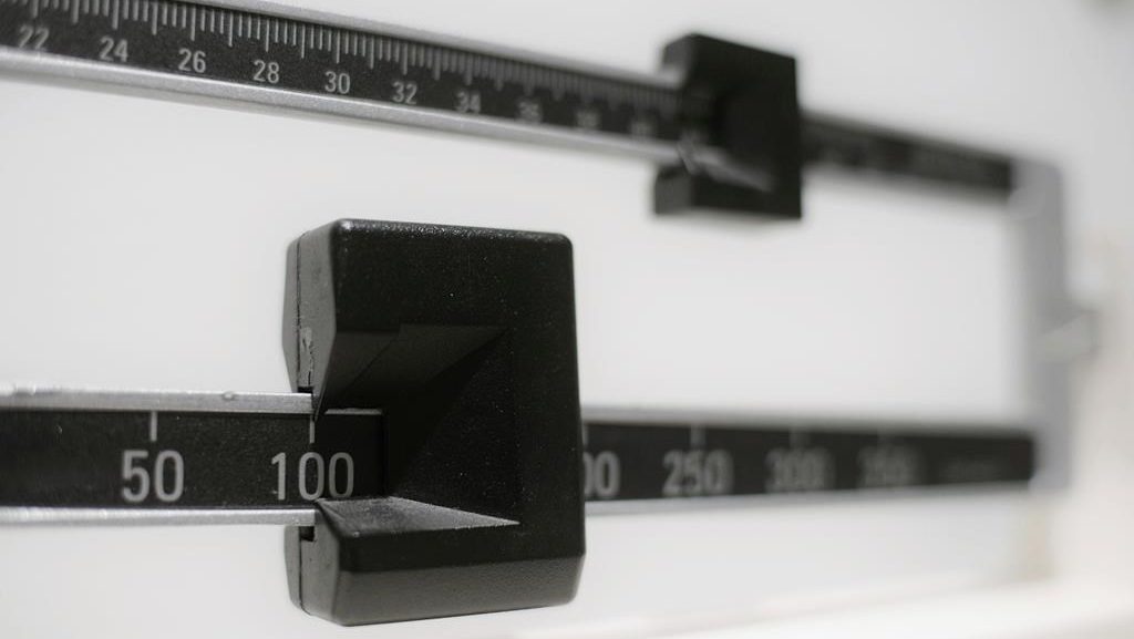 citynewscalgary's tweet card. A study found obesity rates increased at a faster rate during the COVID-19 pandemic than they did before April 2020.