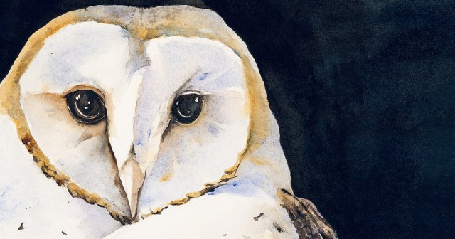 themarginalian's tweet card. “We need another and a wiser and perhaps a more mystical concept of animals,” the great nature writer Henry Beston wrote in his lovely century-old meditation on otherness and the web of…