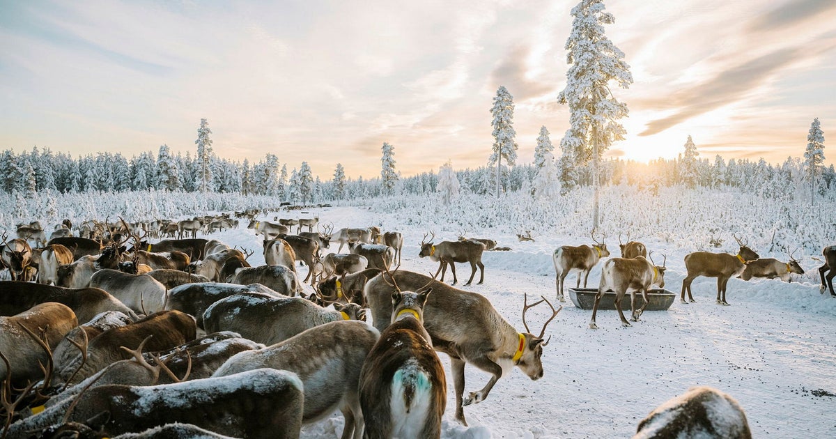 DNDebatt's tweet card. Så har då Renmarkskommittén avpolletterats, en ny utredning ska till. Nog är det våra slutsatser om jakt och fiske i fjällen, samebyar och…