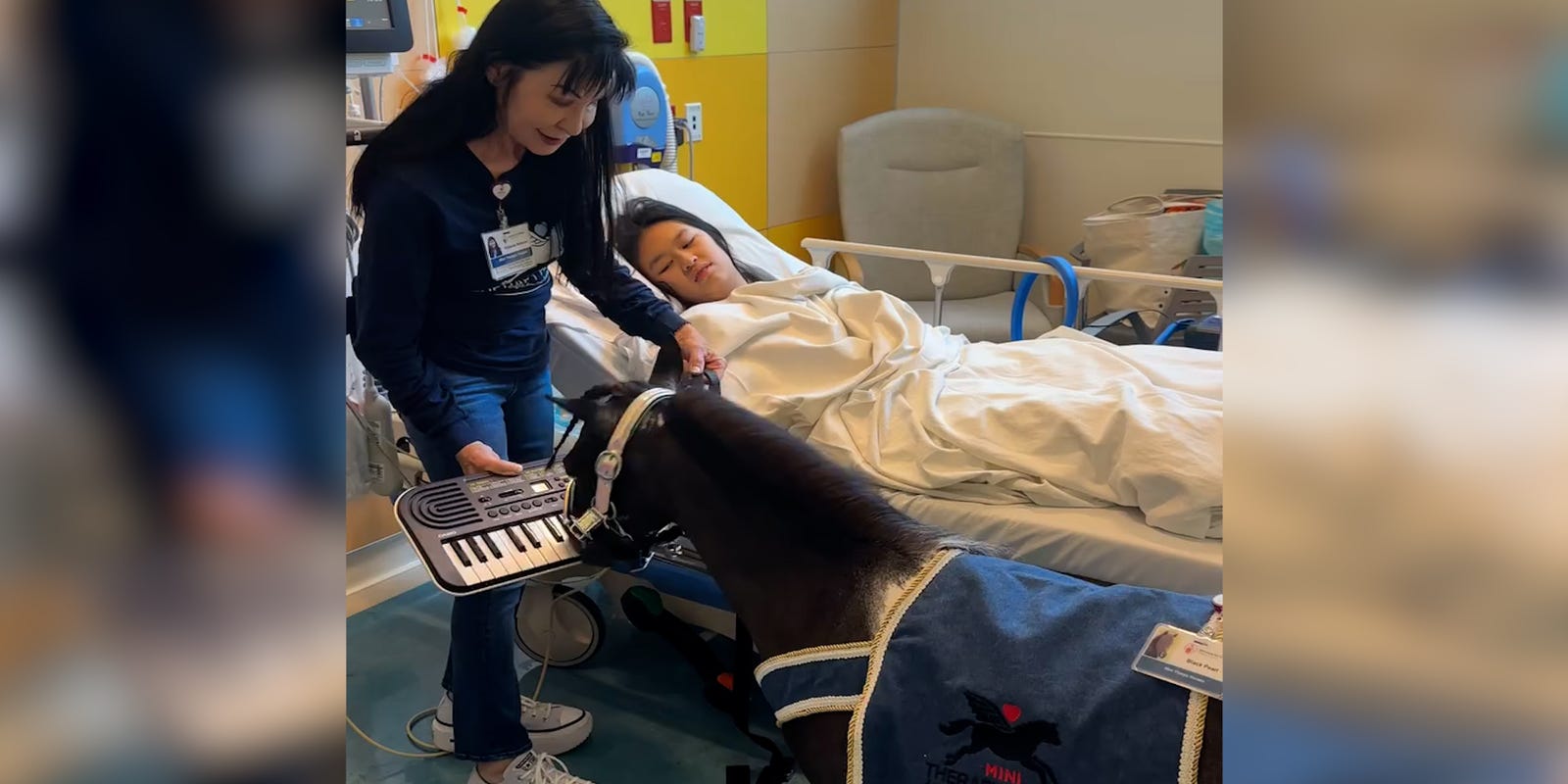 statesman's tweet card. Black Pearl is a 17-year-old mini horse, known for her keyboard-playing performances for hospital patients.
