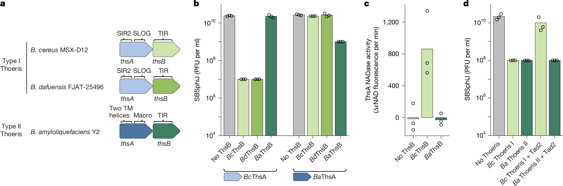 d_sabonis's tweet card. Nature - In response to phage infection, the Toll/interleukin-1 receptor (TIR) domain protein ThsB of the type II Thoeris defence system produces histidine conjugated to ADP-ribose, which...